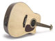 Ashton Music D65SCEQ